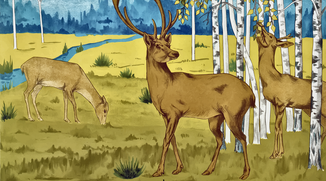 Malen nach Zahlen Banner