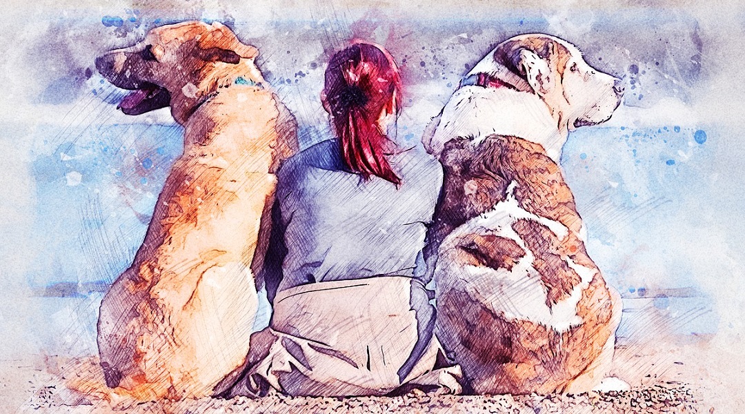 Spielzeug Hunde Banner