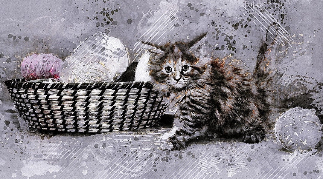 Spielzeug Katzen Banner